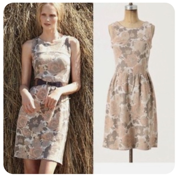 Knitted and Knotted Glinting Persica Knit Dress As seen on TV ASO Glee Quinn XS - Picture 2 of 14